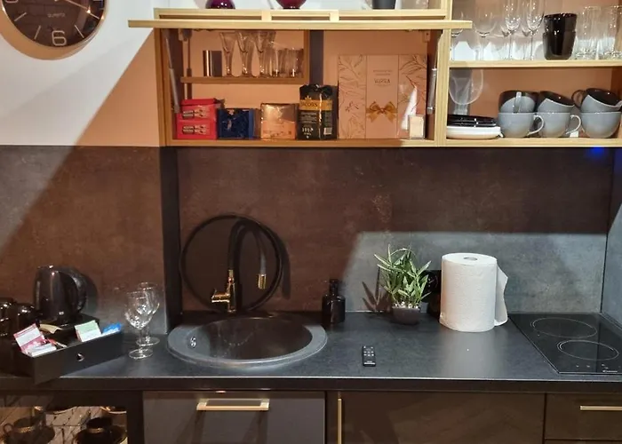 Happy Time Together Z Jacuzzi Penzion Wojkowice